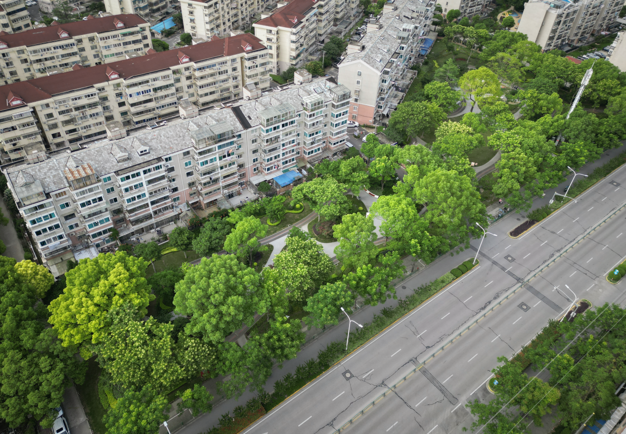 圖片10.png 圖片10.png